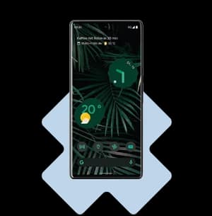 Google Pixel 6 Pro